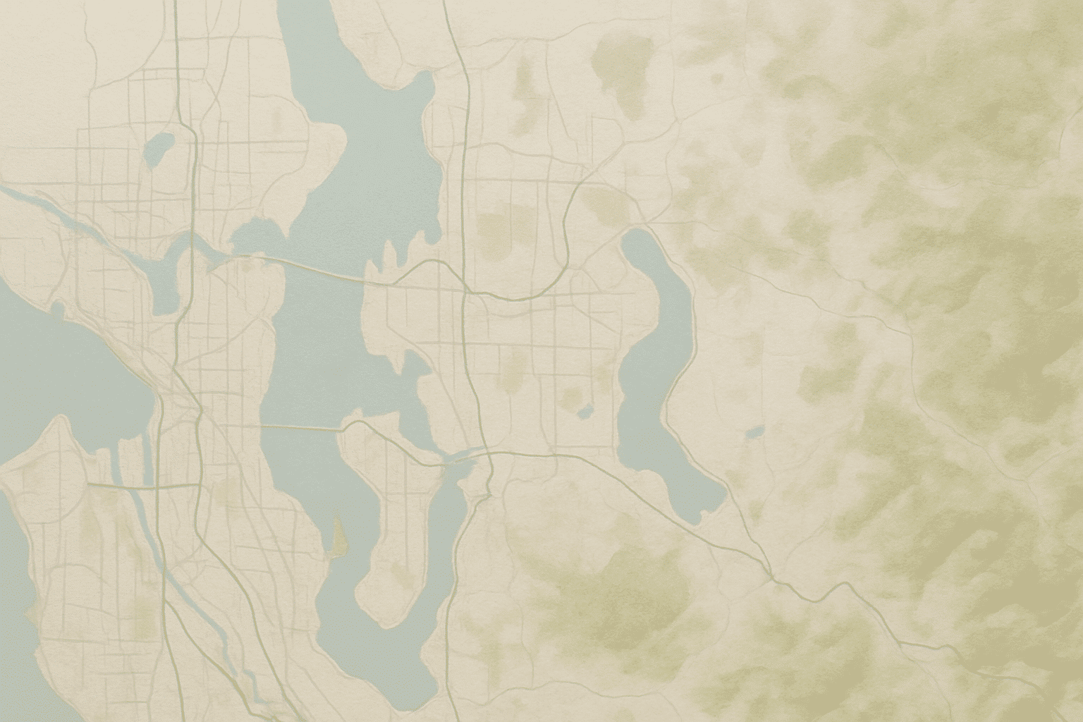 A label-free geographic schematic of the Seattle-Eastside region satisfies the slot's request for a diagram-style servic